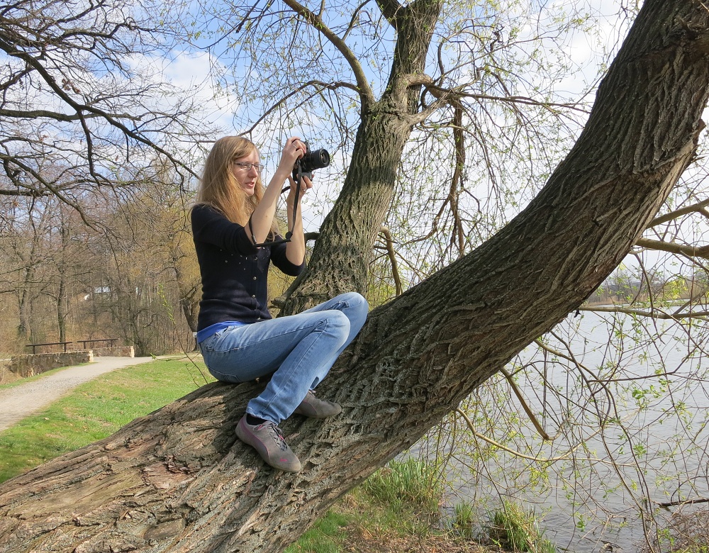 3. ročník celopražské fotografické soutěže na téma "Pražské stromy", ilustrační foto