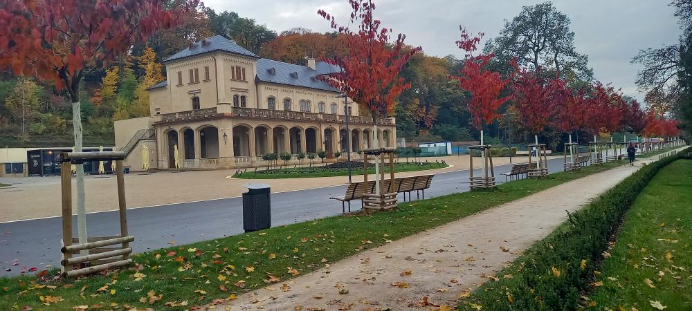 3200477_Podzimní proměna květinových záhonů na parteru před Šlechtovou restaurací