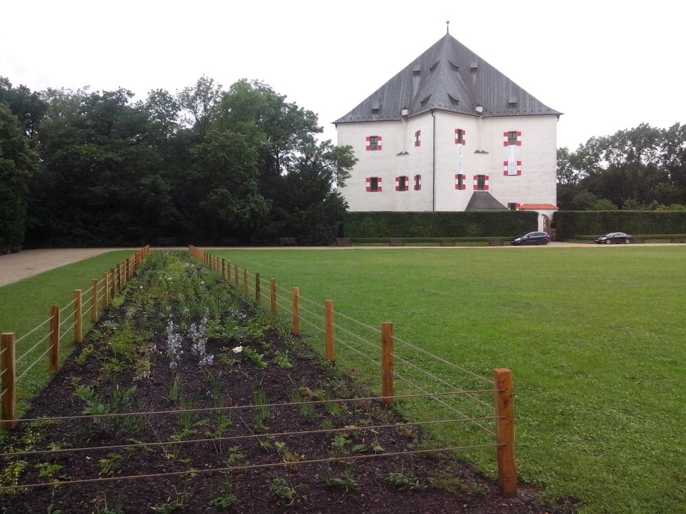 2522042_záhony na parteru Obory Hvězda před letohrádkem, foto červen 2016