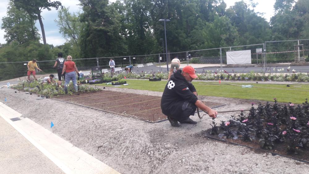 Rek.parteru před Šlecht. rest., Výsadby letniček (3. 6.2020)