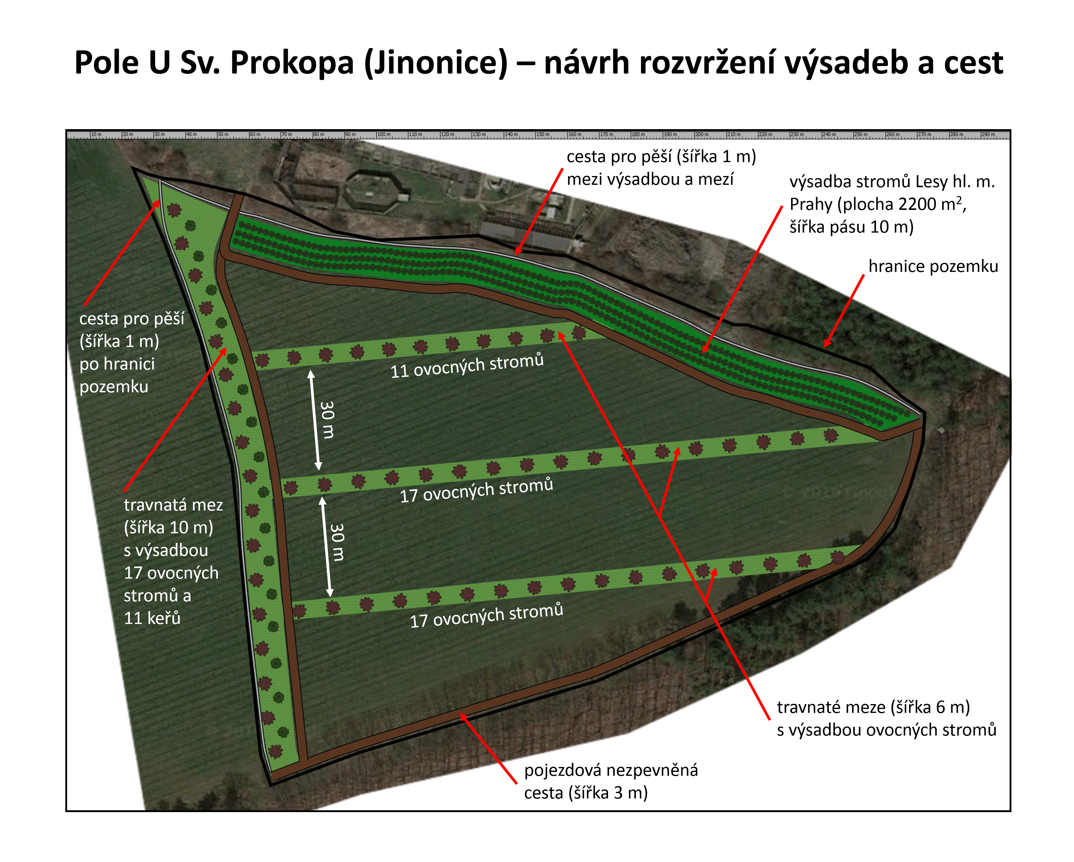 Pole U Sv. Prokopa - návrh výsadeb a cest