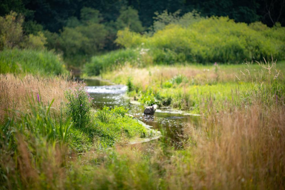 3323910_Krajinný park Lítožnice