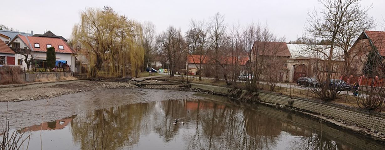 Revitalizace rybníku Obecňák