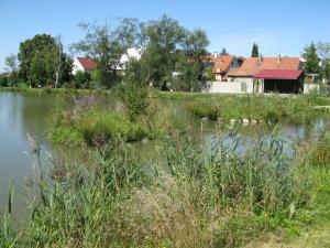 bechovicky09_upravrybnik_800_jpg