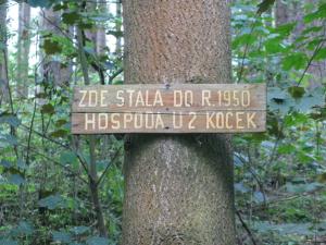 libussky09_zdestavalarest_800_jpg