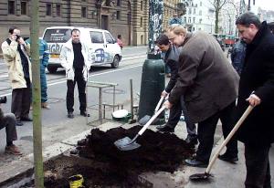 FOTO - ...společně s ministrem Liborem Ambrozkem a radním Milošem Gregarem symbolicky zasadili lípu před Národním divadlem