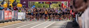 Účast týmu MHMP na Generali půlmaratonu