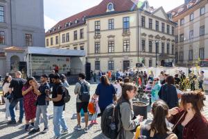 DVO_8219