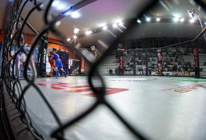 MMA_2016_Kozak_16