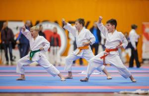 MCR_karate_2016_Kozak_35