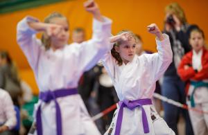 MCR_karate_2016_Kozak_39