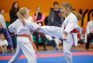 MCR_karate_2016_Kozak_41