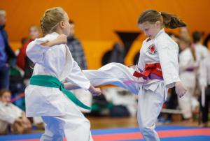 MCR_karate_2016_Kozak_44