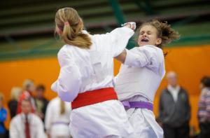 MCR_karate_2016_Kozak_50
