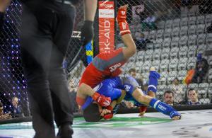 MMA_2016_Kozak_93