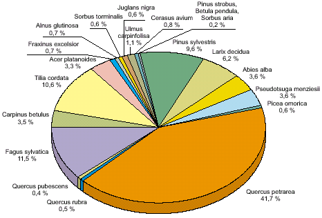 obr. výsadby ve stávajících lesích – podle druhů celkem, 2005 