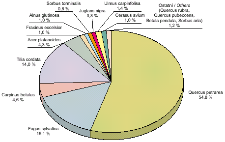 obr. listnaté stromy – výsadby ve stávajících lesích, podle druhu, 2005