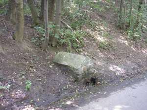 Pražské studánky - Franciho studánka - fotogalerie