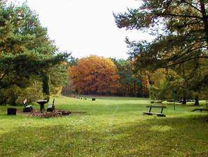 forests in prague