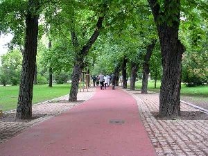 letná orchards