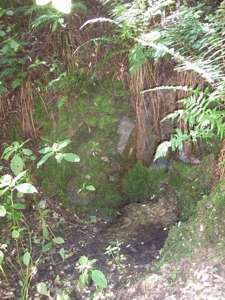 Pražské  studánky - Ve skále