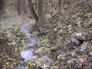 Pražské studánky - V obecní zahradě - fotogalerie