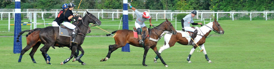 Argentine Diplomats Polo Cup – Praha. Zdroj: http://www.aviatorpoloclub.com/