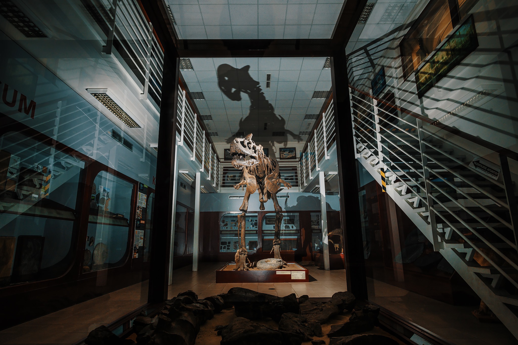 Chlupáčovo muzeum historie Země
