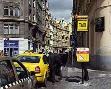 Nové stanoviště Taxi Fair place